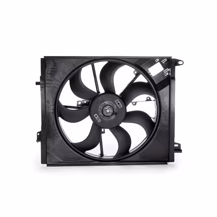 فن کامل سانگ یانگ اکتیون