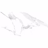 سرامیک راک مدل کلکته سفید مات 60*120