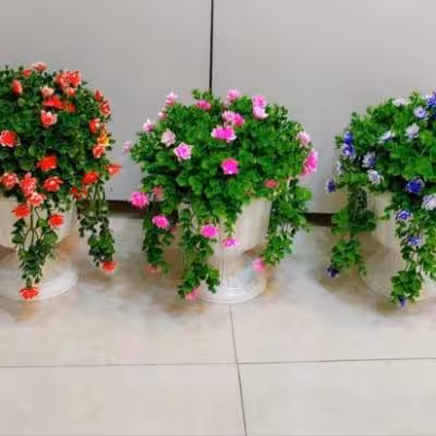 شمشاد کاپی آویز بزرگ