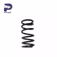 فنر لول جلو پژو 405 SLX و پارس 496101 جی ای اس پی