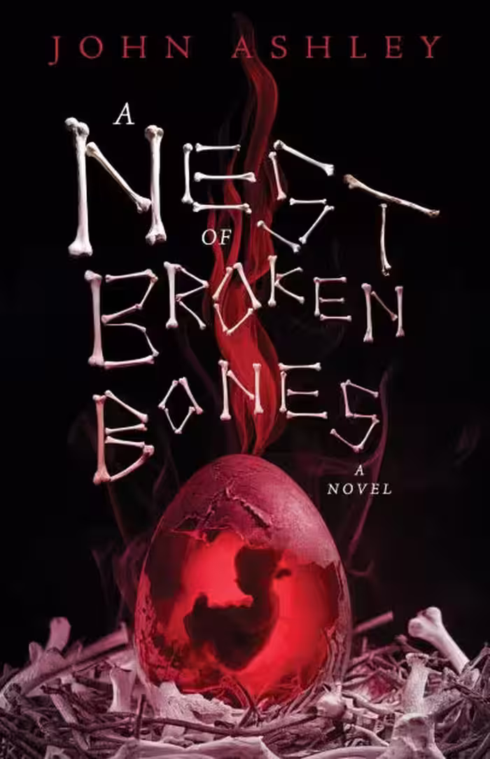 کتاب A Nest of Broken Bones
