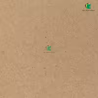 ماکت ایرانی مغز طوسی 1.5 میل مدل کرافت