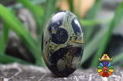 جاسپر کهکشانی(کامبابا جاسپر)