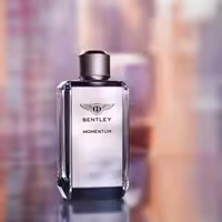 عطر ادکلن بنتلی مومنتوم اصل | Bentley Momentum 100ml