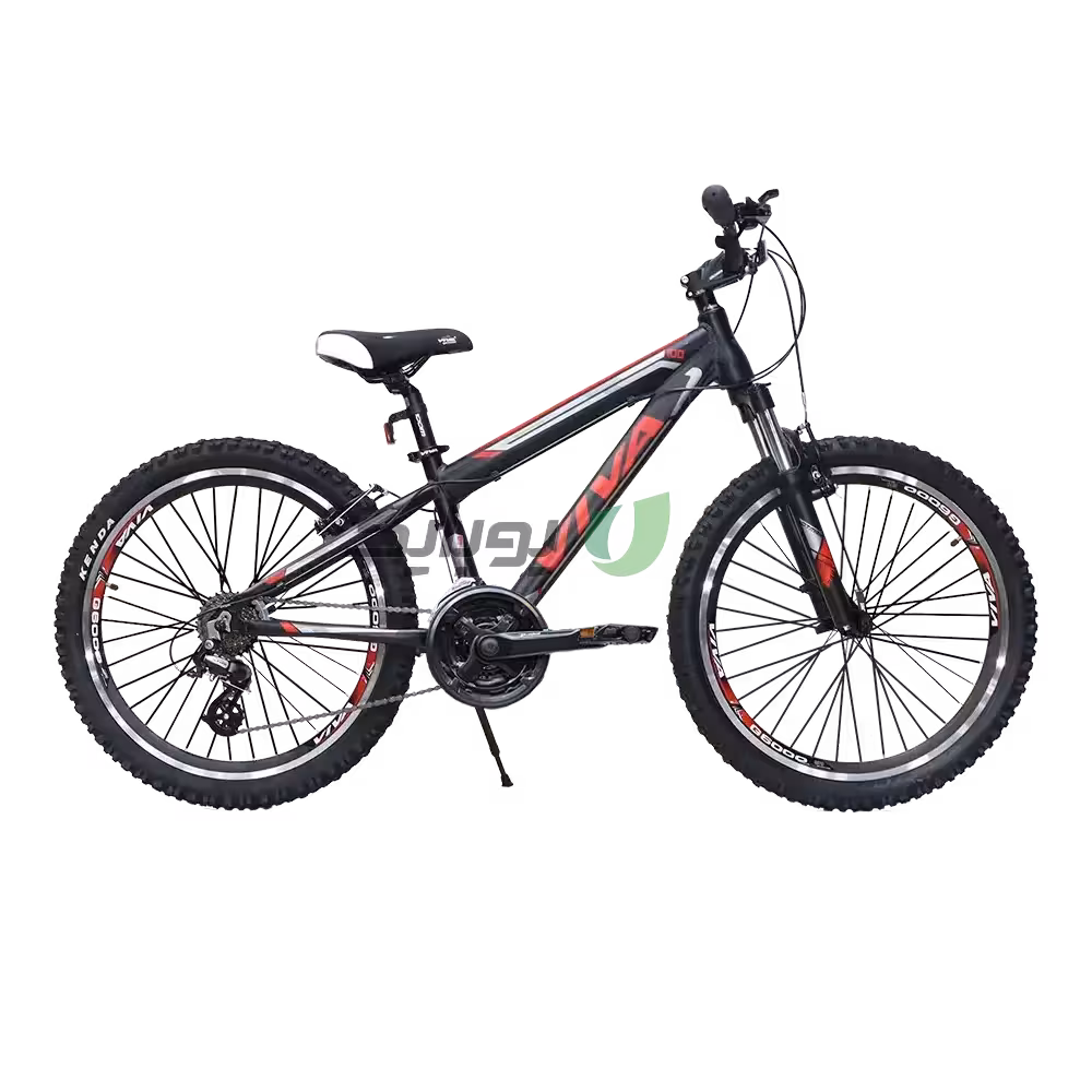 دوچرخه ویوا سایز 24 مدل اکسیژن Viva Oxygen 100 ویبرک 21 دنده