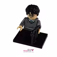 ساختنی مدل Harry Potter