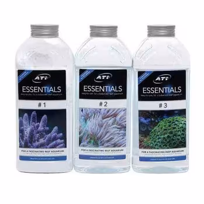 بالینگ اسنشیالز