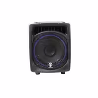 اکو همراه 12 اینچ باسیم زیکو مدل Z-122