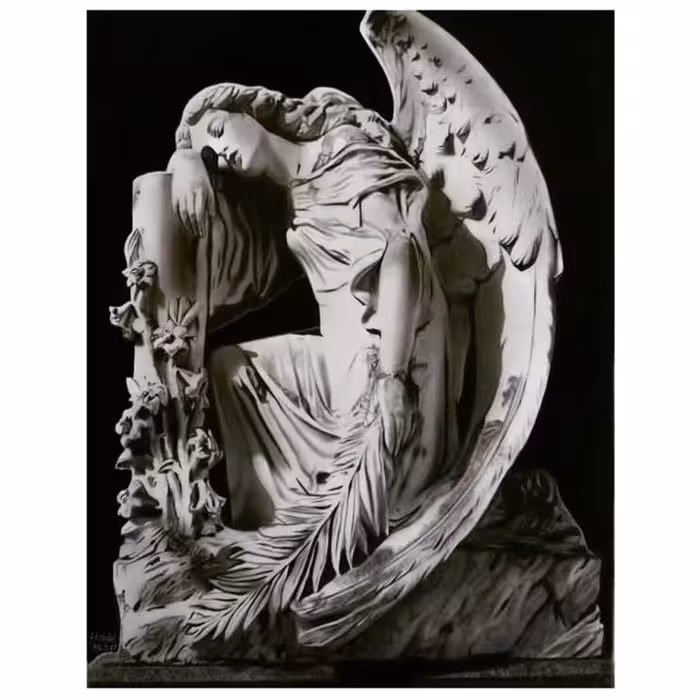 تابلو نقاشی سیاه قلم طرح مجسمه مدل پرپرواز کد 5