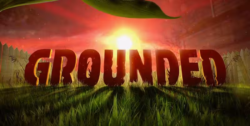سی دی کی اورجینال بازی Grounded کامپیوتر (PC)