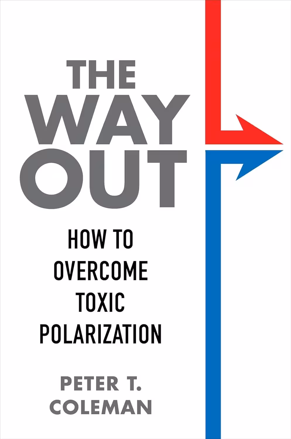The Way Out: How to Overcome Toxic Polarization