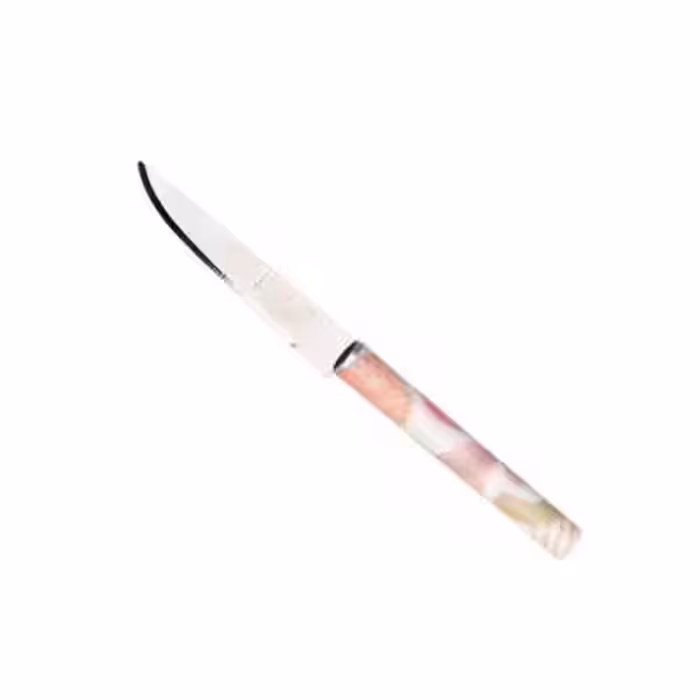 کارد میوه خوری روک مدل ESPINAS مجموعه 12 عددی