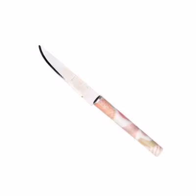 کارد میوه خوری روک مدل ESPINAS مجموعه 12 عددی