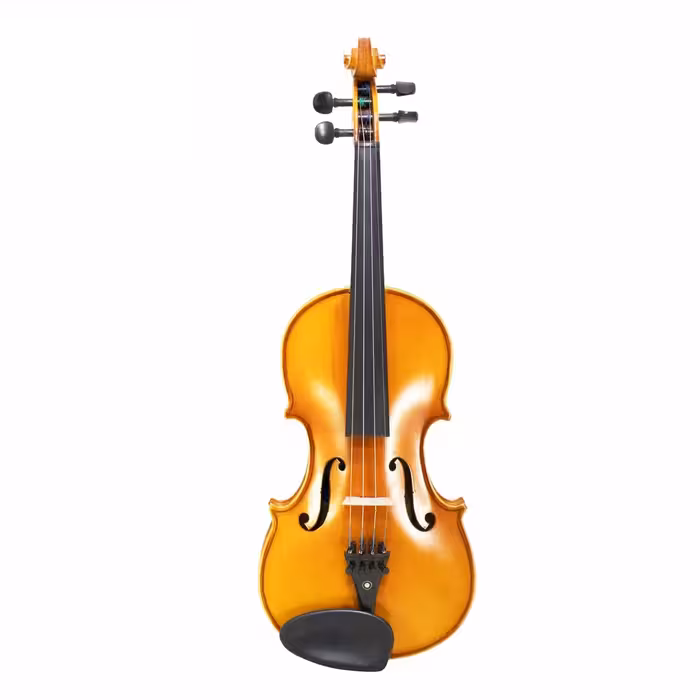 ویولن تی اف 142 سایز 3/4