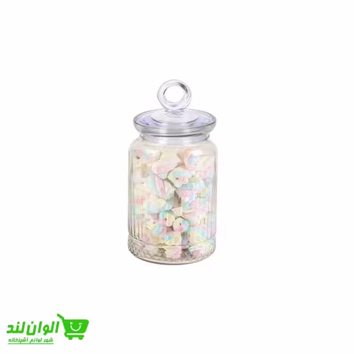 بانکه ادویه زیبا سازان مدل دیسفان پک 6 عددی سایز 3 کد 39209