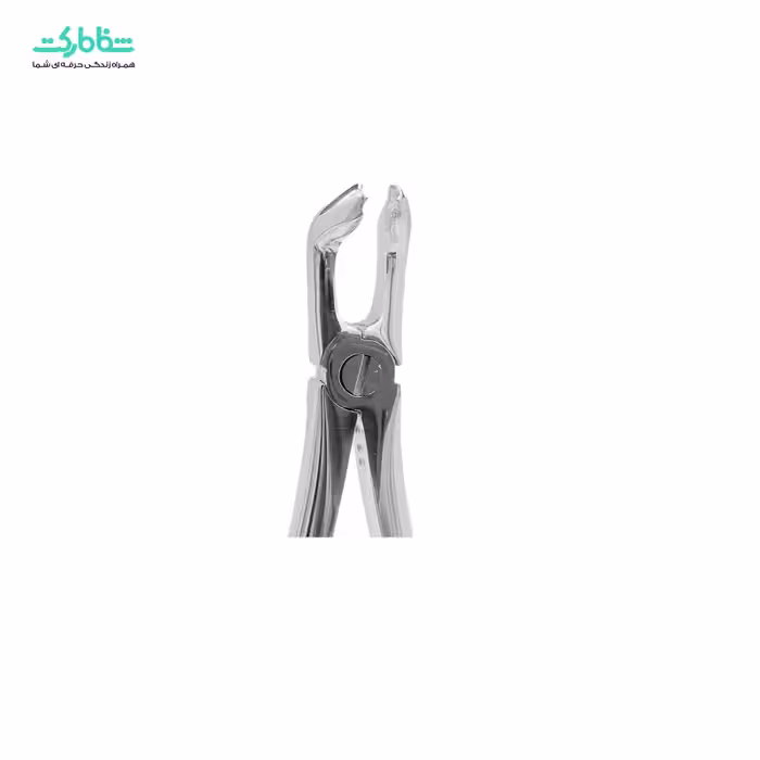 فورسپس عقل پایین  3010