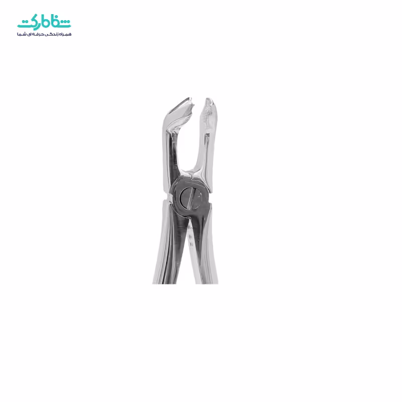 فورسپس عقل پایین  3010