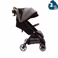 کالسکه ایون فلو مدل Evenflo Gold Otto
