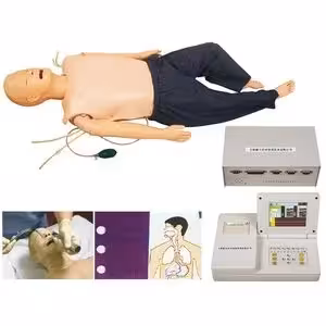 مولاژ ( مانکن ) آموزشی ALS بزرگسال