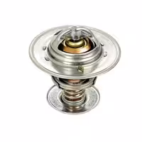 ترموستات جک S5