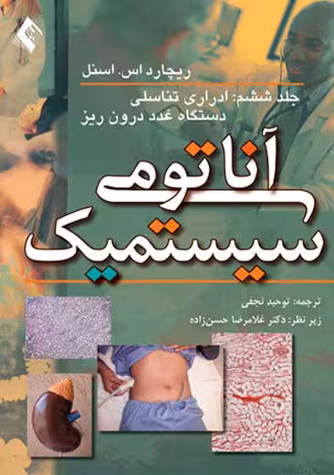 آناتومی سیستمیک جلد ششم ادراری تناسلی دستگاه غدد درون ریز اسنل نجفی ارجمند