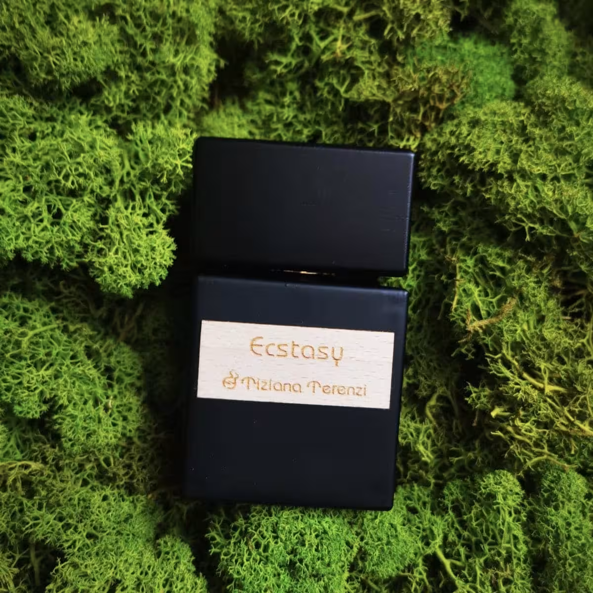 عطر ادکلن تیزیانا ترنزی اکستاسی اصل | Tiziana Terenzi Ecstasy 100 ml