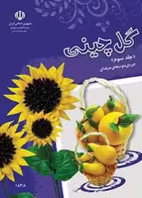 کتاب درسی گل چینی (جلد سوم) استثنایی