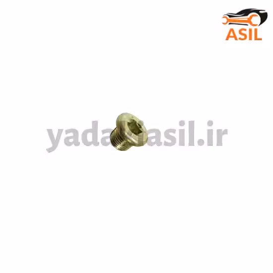 پیچ تخلیه کارتل 206