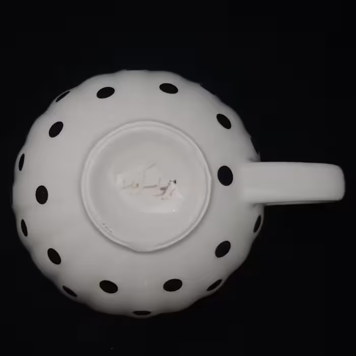 ست فنجان و نعلبکی سرامیکی هیوا طرح خالدار کد 11274870