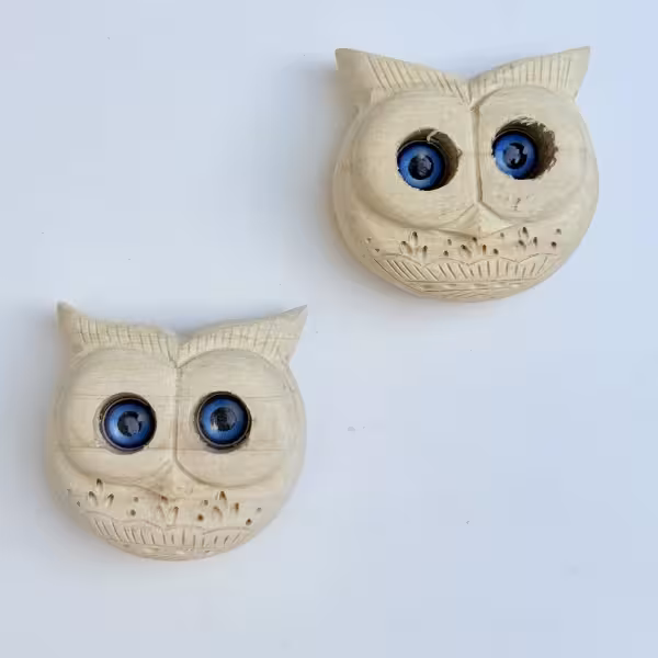 مگنت چوبی جغد دانا طرح یک