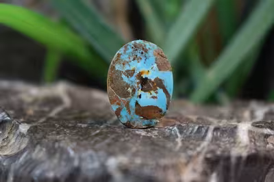 فیروزه نیشابور