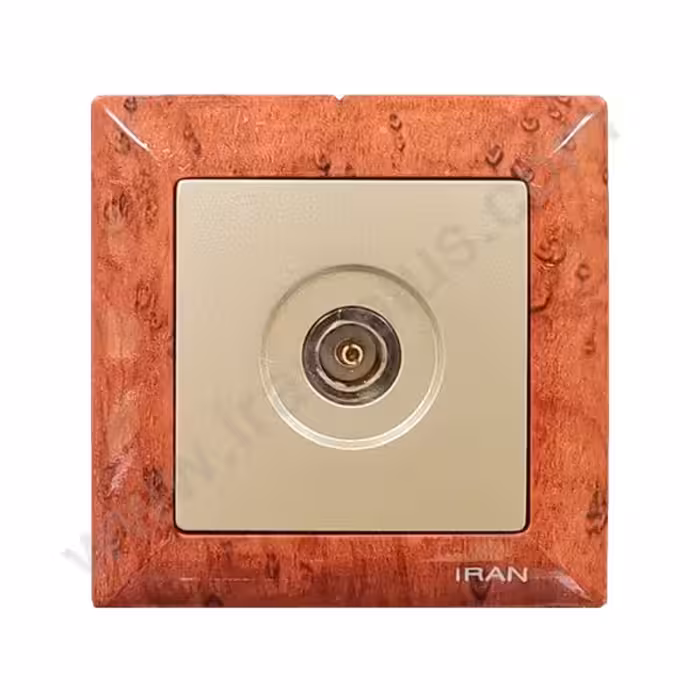 فیش آنتن مدل الیزه طرح چوب تیره میانی بژ