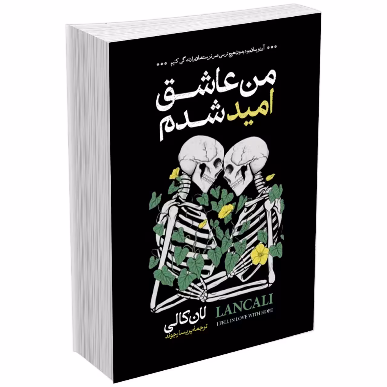 کتاب من عاشق امید شدم اثر لان کالی انتشارات آیین محمود