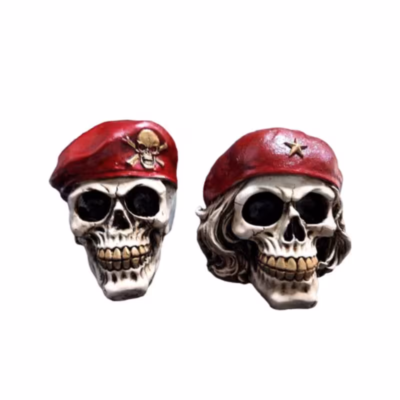 مجسمه مدل جمجمه اسکلت مجموعه 2 عددی