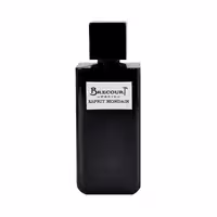عطر ادکلن مردانه برکورت مدل اسپیریت ماندین Brecourt Esprit Mondain حجم 100 میلی لیتر | Brecourt Esprit Mondain Eau De Parfum For Men 100 ml