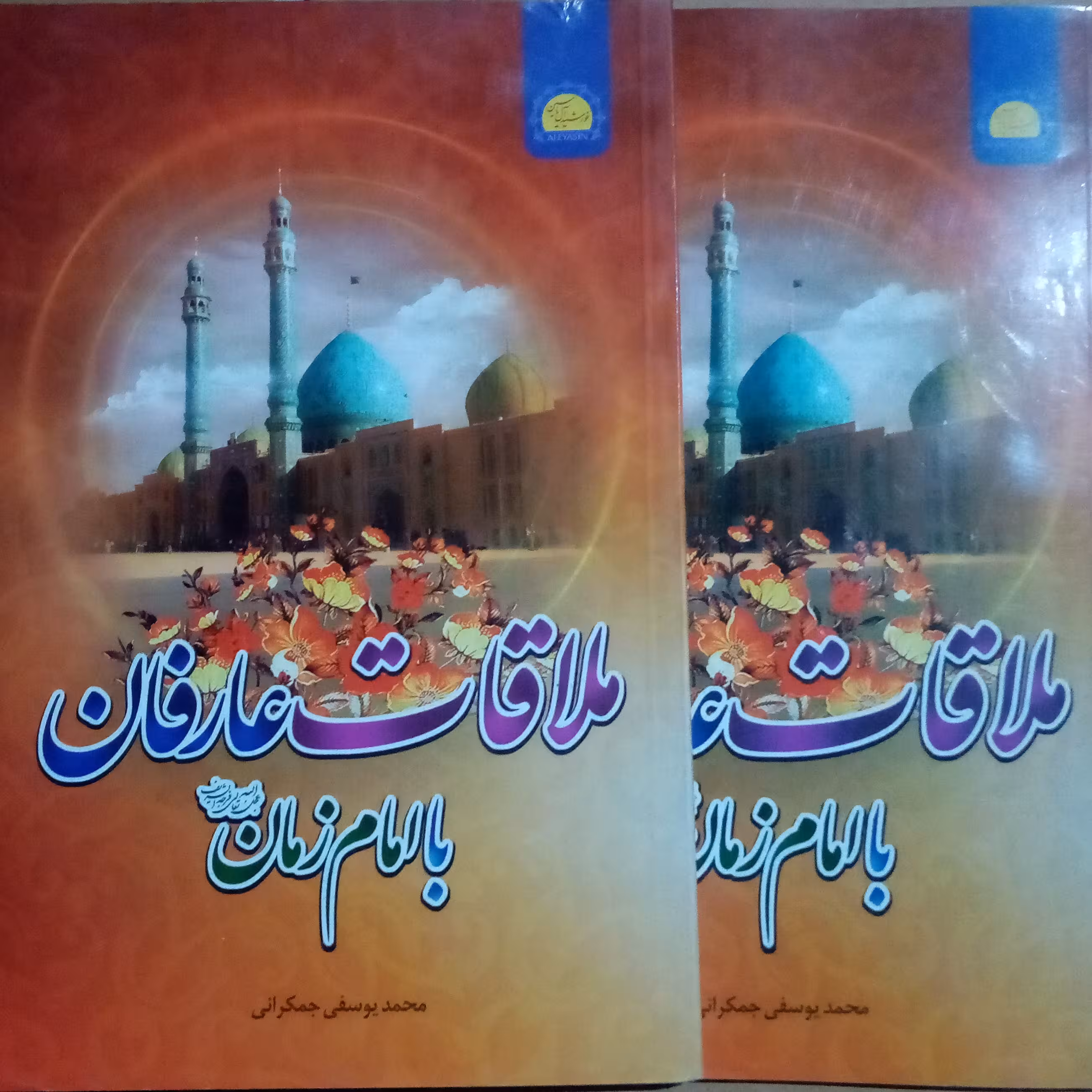 ملاقات عارفان با امام زمان عجل الله