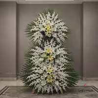 تاج گل سپیده