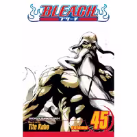 Bleach v45