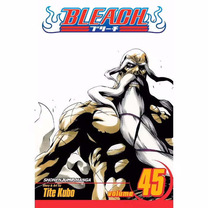 Bleach v45