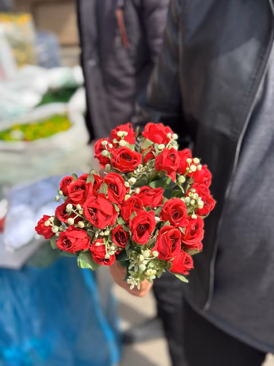 بوته رز هلندی قرمز یک عددی