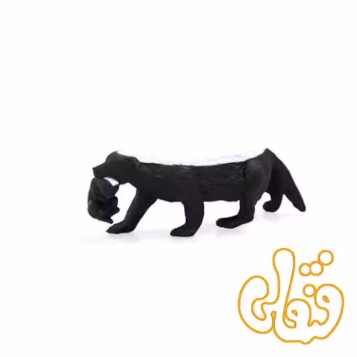 گورکن ماده Honey Badger Female 387153