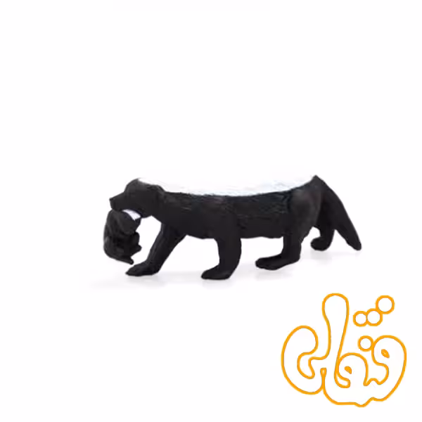 گورکن ماده Honey Badger Female 387153