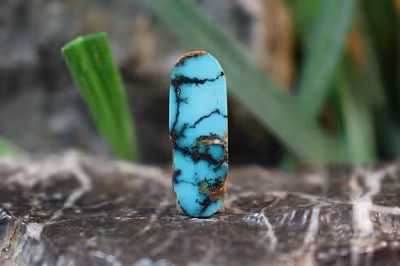 فیروزه نیشابور