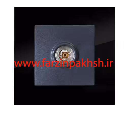 پریز فیش بلندگو توکار دلند مدل آسا پلکسی مشکی