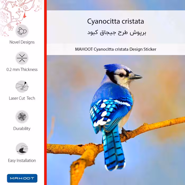 برچسب پوششی ماهوت مدل Cyanocitta cristata مناسب برای گوشی موبایل شیائومی Redmi 2