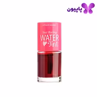 تینت لب مایع اتود هاوس 13.5گرمی