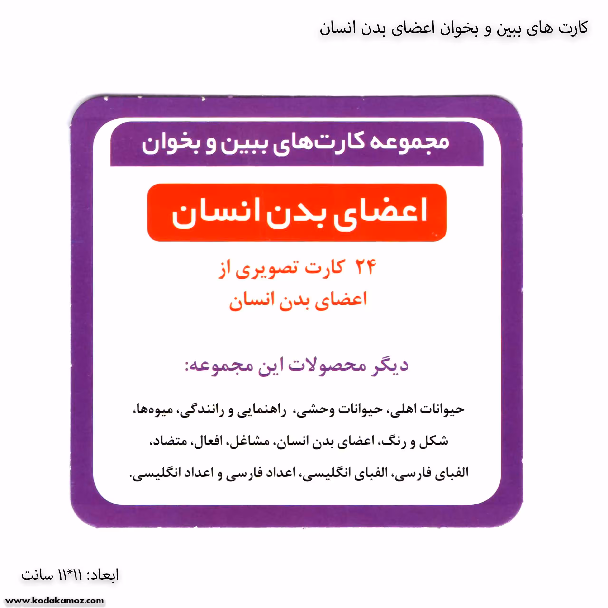 کارت های ببین و بخوان اعضای بدن انسان