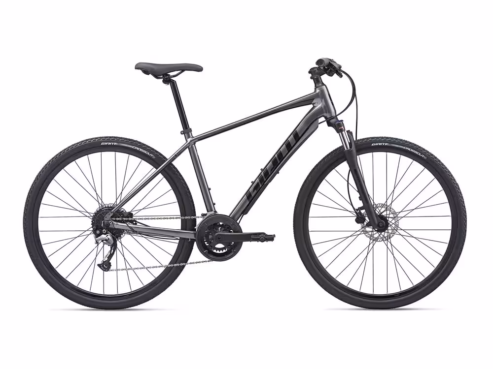 دوچرخه جاینت مدل Giant Roam 2 Disc charcoal black (2020)