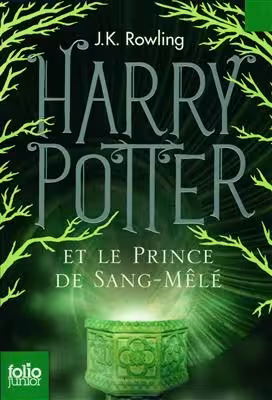 کتاب رمان فرانسوی هری پاتر Harry Potter – Tome 6 : Harry Potter et le Prince de Sang-Mele