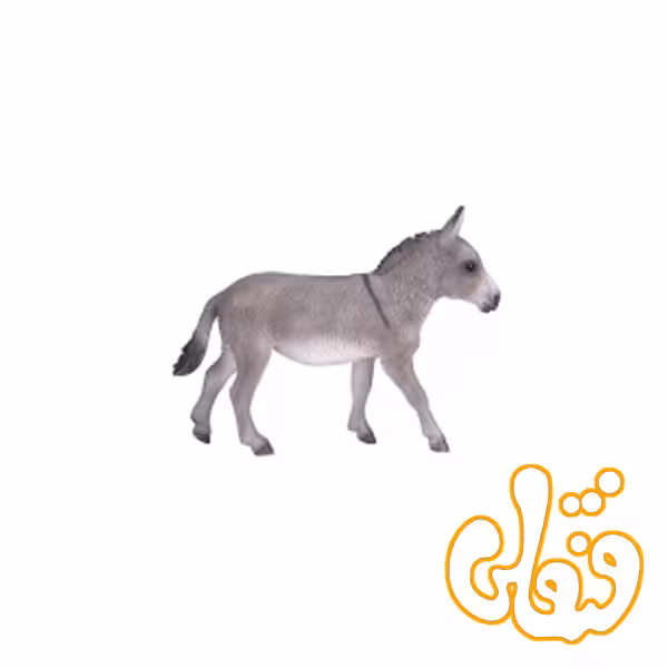 الاغ Donkey 387397